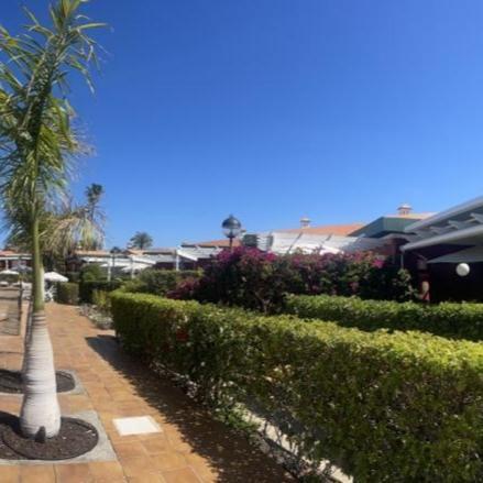 Bungalow Verdemar Maspalomas Maspalomas  Exterior photo